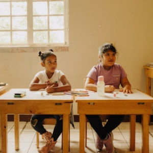 Gifted Education Blog Articles